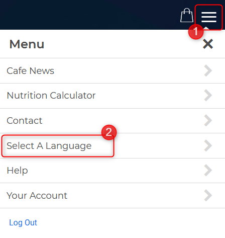 Menu_Select_a_Language_labeled.png